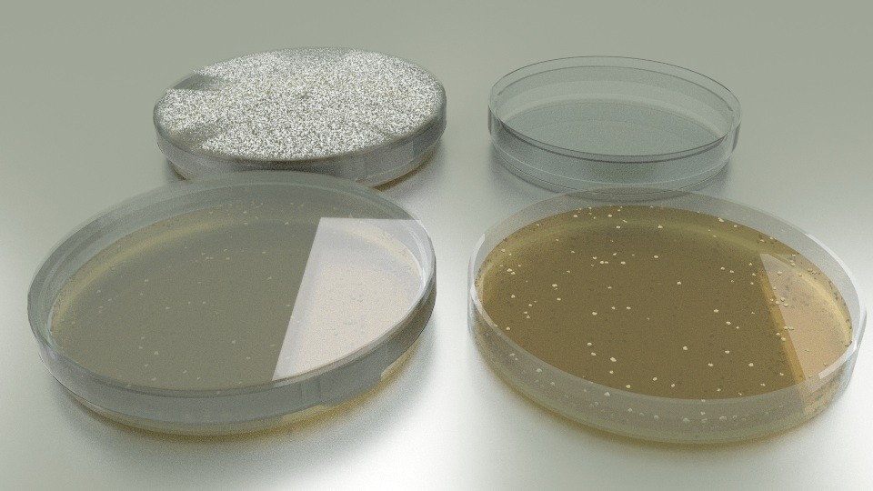 Petri Dish with Bacteria Colony preview image 1